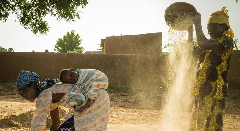 La seguridad alimentaria refuerza la seguridad climática en Mali. 